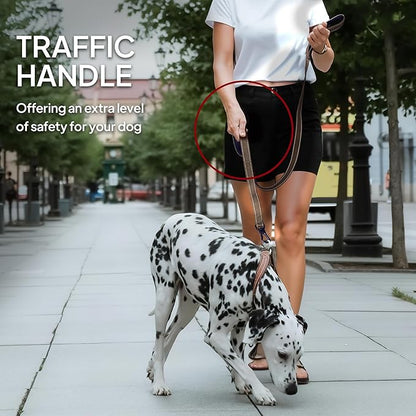 TwoEar 5FT 1IN Strong Brown Dog Leash with 2 Padded Handles, Traffic Handle Extra Control, Comfortable Soft Dual Handle, Auto Lock Hook, Reflective Walking Lead for Small Medium and Large Dogs