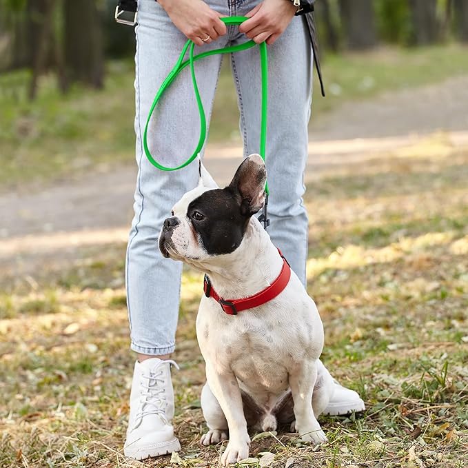 Dogline Biothane Waterproof Dog Leash Strong Coated Nylon Webbing with Black Hardware Odor-Proof Easy to Clean High Performance for Small or Large Dogs Made in USA 4 or 6 ft Lead, Tropical Green