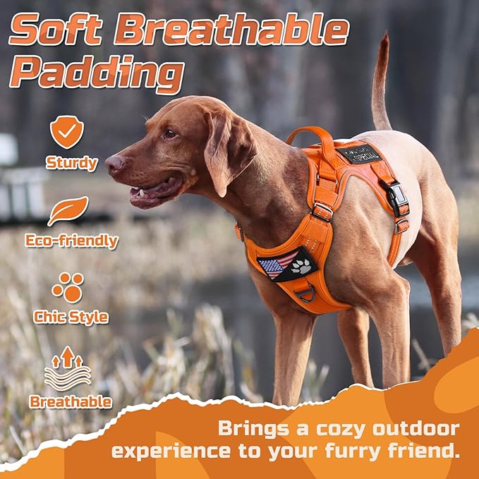 rabbitgoo Tactical Dog Harness for Large Dogs, No Pull Military Service Vest with Handle & Molle, Easy Control for Training Walking, Adjustable Reflective Straps, Orange, XL