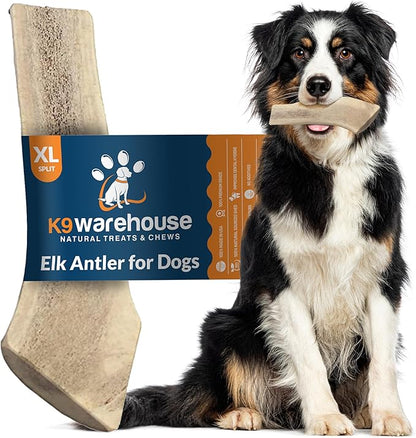 K9warehouse Natural Split Elk Antlers for Dogs - Premium Grade Dog Antler Chews - Long-Lasting Deer Antles Ideal for Aggressive Chewers - Safe USA Sourced Chew for Medium and Large Dogs - 1 Pack