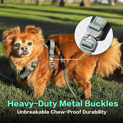 PawsPassion Dog Harness for Medium Dogs, No Pull Dog Harness Easy Walk with Metal Hardware, Ergonomic Y-Shaped Design, Soft Padding, Padded Handle, Durable High-Tensile Nylon (Seabreeze, M)