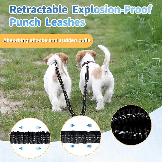 Double Dogs Leash - Removable Main Lead Rope with Splitter, No Tangle 2 Dog Coupler, Reflective No Pull Bungee, 3 Handle, D-Ring, Extra Long for Walk Train Medium Large Two Pet (Black)