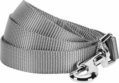 Blueberry Pet Essentials Flint Gray Dog Leash for Medium - 5' * 3/4" Dogs | Heavy Duty Nylon Lead | Lightweight Puppy & Cat Leash for Walking & Training