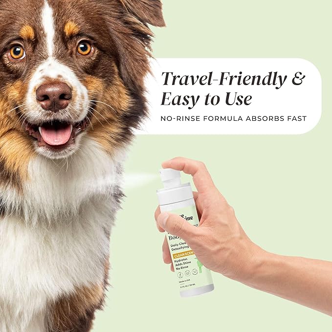 Divine Canine Cleansing Hair and Body Spray for Dogs - 5.1 Fl Oz of Dog Deodorizer, Long Lasting Formula - Everyday Body Spray with Aloe, Lemongrass Oil, and More - Made in The USA