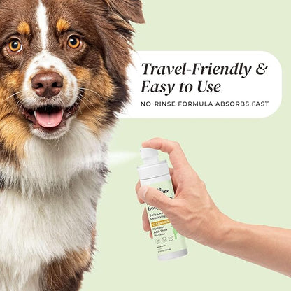 Divine Canine Cleansing Hair and Body Spray for Dogs - 5.1 Fl Oz of Dog Deodorizer, Long Lasting Formula - Everyday Body Spray with Aloe, Lemongrass Oil, and More - Made in The USA