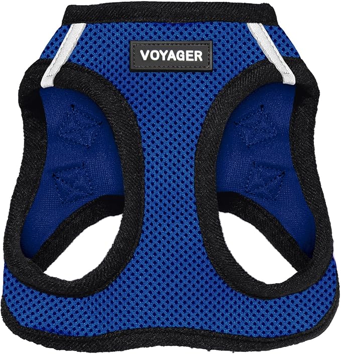Best Pet Supplies Voyager Step-in Air Harness - All Weather Mesh, Reflective, No Pull Harness for Dogs, Cats - Secure with Hook & Loop Fastener, Buckle, Double D-Rings - Royal Blue/Black Trim, XXS