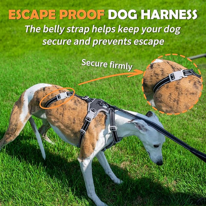 Huntboo Escape Proof Dog Harness – No Pull, No Slip, Fully Reflective, Adjustable 7-Point Design for Small, Medium, and Large Dogs – Lightweight for Outdoor Training & Hiking (Black, XL)