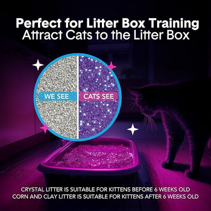 Boxie Glo Clumping Clay 30 Day Odor Control Cat Litter, 99.9% Dust-Free, Low Tracking, UV Light Attractant, 40 lb
