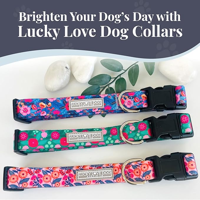 Lucky Love Dog - Adjustable Dog Collar with Easy Click Buckle for Small Ones, Durable, & Comfortable for Male & Female Dogs, Pet Collar for Puppies & Adult Dogs - Rosie, XS