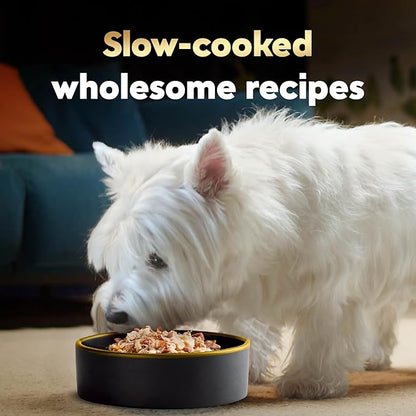 Cesar Wholesome Bowls Adult Wet Dog Food, Beef, Chicken, Carrots, Barley & Green Beans Recipe and Chicken, Apple & Sweet Potato Recipe Variety Pack, Wet Food for Dogs, 3 oz., 6 Count