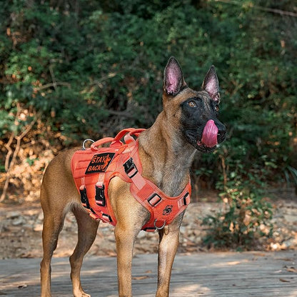 OneTigris Large Tactical Dog Harness, No Pulling Adjustable Dog Vest Harness, Heavy Duty Dog Harness with Handle, Large Hook and Loop Panels for Patch(Orange,M)