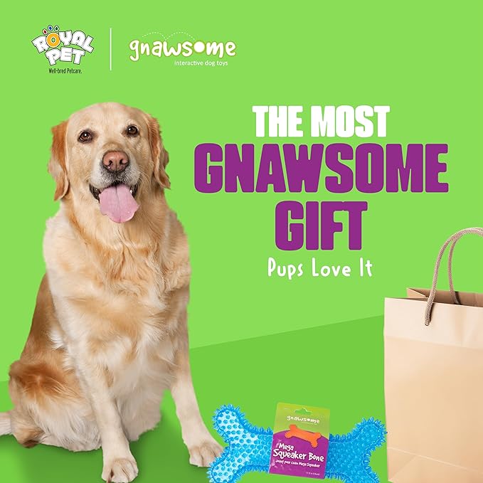 Gnawsome Dog Toys - Mega Squeaker Bone - Dental & Gum Wellness - Stimulating Fun - Hidden Squeaker - Durable for Heavy Chewers - 100% BPA-Free - Assorted Colors