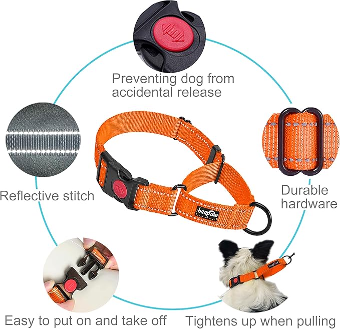 haapaw 2 Pack Martingale Dog Collar with Quick Release Buckle - Reflective, Training Collars for Small to Large Dogs (L Neck 17"-21", Orange, 1+1 Packs)