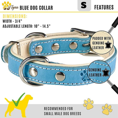 ADITYNA Heavy-Duty Leather Dog Collar for Small Dogs - Soft Padded for Comfort - Blue Dog Collar for Walking, Training, and Hiking