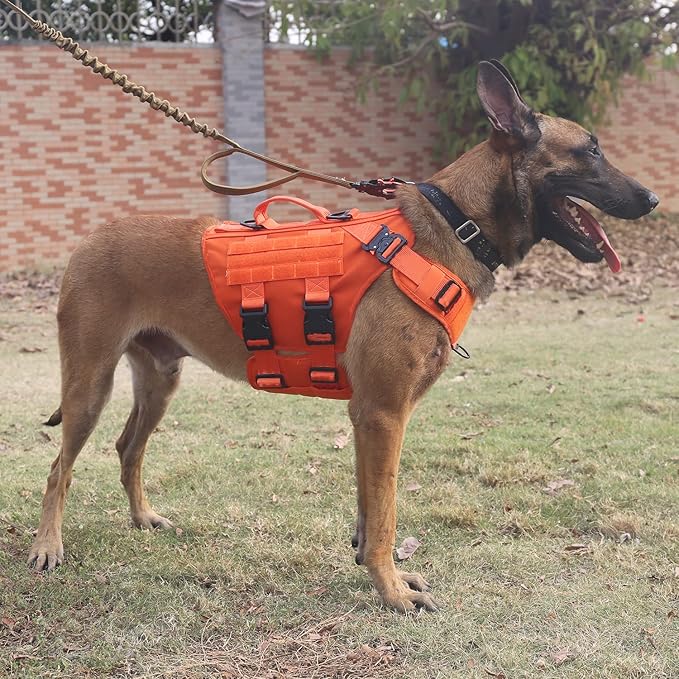ICEFANG GN3 Tactical Dog Harness with 6X Buckle,Dog Molle Vest with Handle,3/4 Body, Hook and Loop Panel for ID Patch,No Pulling Front Clip (XL (Neck 19"-29"; Chest 31"-40"), Safety Orange)