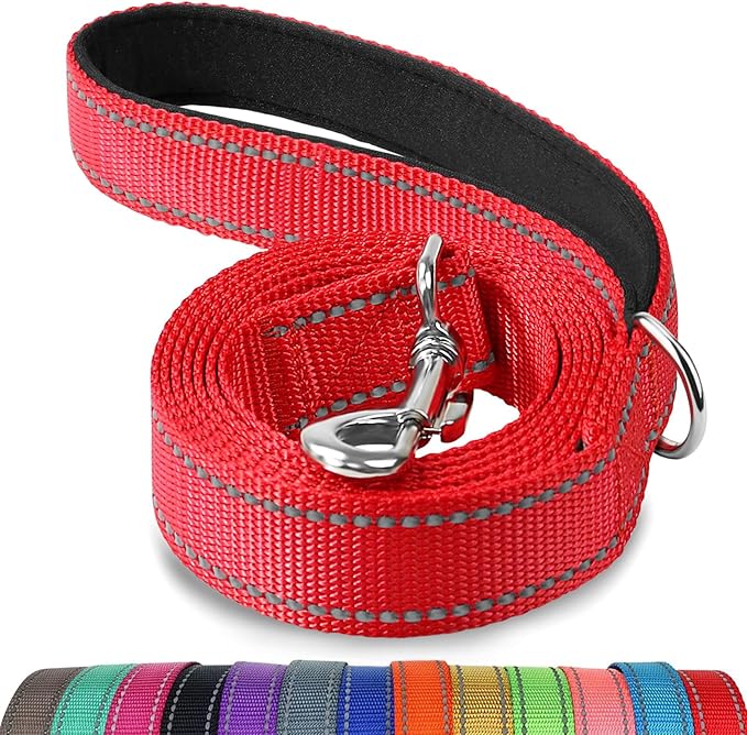 Joytale Double-Sided Reflective Dog Leash, 4 FT, Padded Handle Nylon Heavy Duty Leashes for Small & Medium Dogs Walking, Red