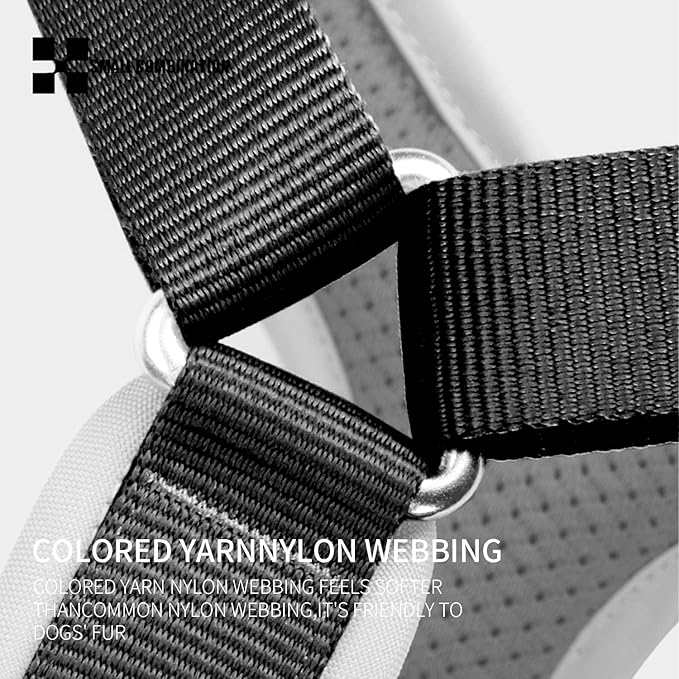 Adjustable Dog Harness with Handle, Padded Comfort,Small, Medium and Large Dogs (Black, M)