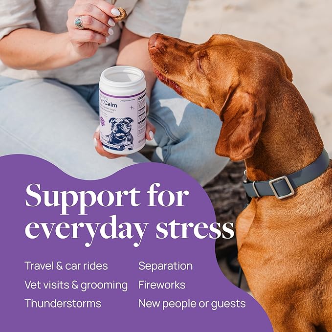 Veterinary Formula Pet Calm 60ct – Vet-Formulated Calming Chews for Dogs with L-Theanine, L-Tryptophan for Behavior Support, Relaxation Treats, Puppy Chews for Stressful Situations, Dog Calming Aid