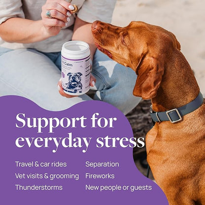 Veterinary Formula Pet Calm 60ct – Vet-Formulated Calming Chews for Dogs with L-Theanine, L-Tryptophan for Behavior Support, Relaxation Treats, Puppy Chews for Stressful Situations, Dog Calming Aid