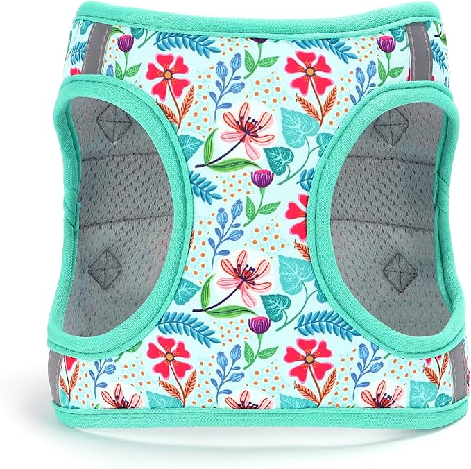 Moonpet Step in Dog Harness Leash Set- All Weather Reflective No-Pull Floral Pattern Padded Mesh Vest Harness for Cats Puppy Extra-Small Small Medium Large Dogs - Verdure Flower - XXS