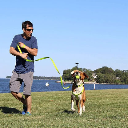 Pawtitas Personalized Dog & Puppy Harness Extra Small Lush Green Custom ID Tag Adjustable No Pull Vest