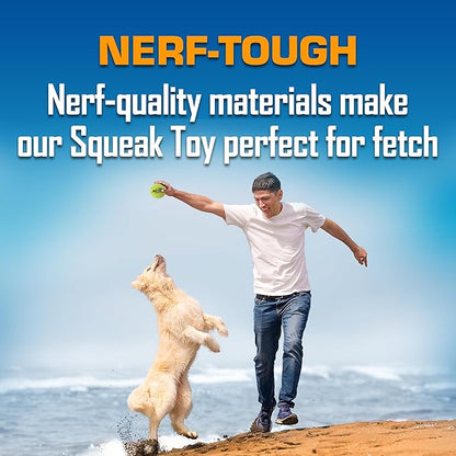 Nerf Dog 16-Piece Dog Toy Gift Set, Includes 16 2.5in Squeak Tennis Balls and a 10.25in Bucket, Nerf Tough Material, Green