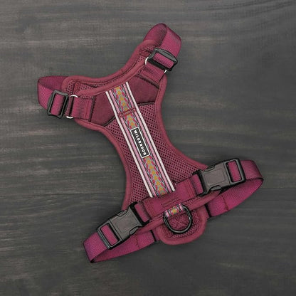 Wilderdog Lightweight Dog Harness with Reflective Straps - Small - Huckleberry