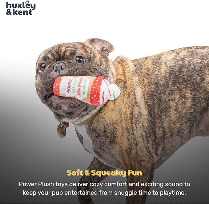 Huxley & Kent Funny Dog Toy w/Squeaker – Holiday Power Plush Squeaky Dog Toys for Small Dogs – Durable Small Stuffed Animal for Indoor Play & Fetch - Tiny Tuff Latte My Way