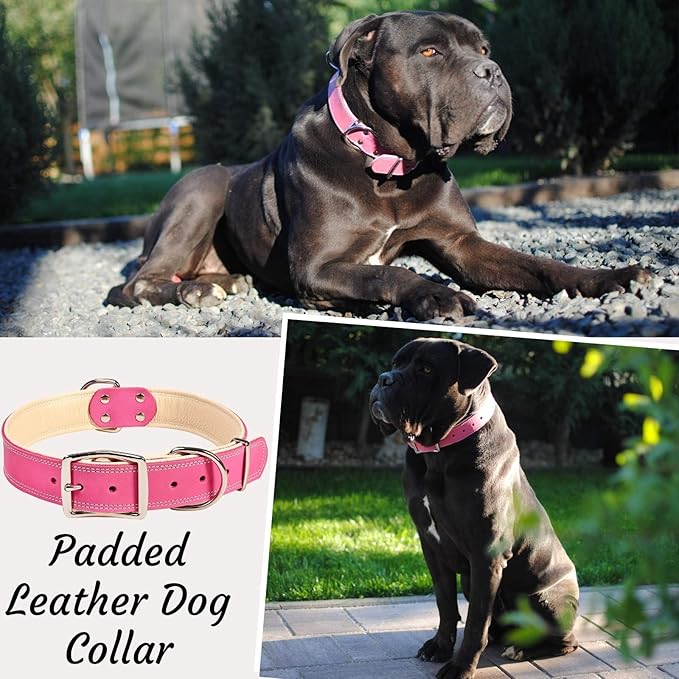 ADITYNA Heavy-Duty Pink Leather Dog Collar for Extra-Large Dogs - Soft Padded for Comfort - Big Girl Dog Collar for Walking, Training, and Hiking