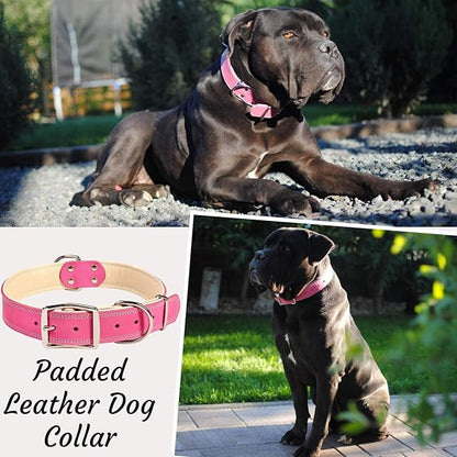ADITYNA Heavy-Duty Pink Leather Dog Collar for Extra-Large Dogs - Soft Padded for Comfort - Big Girl Dog Collar for Walking, Training, and Hiking
