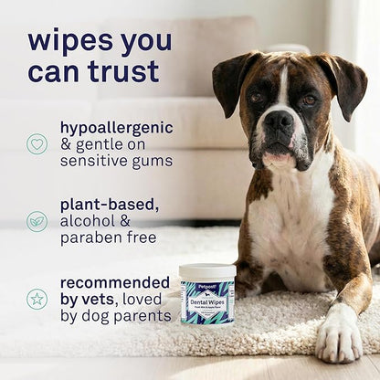 Petpost Dental Wipes for Dogs | 100 Count Presoaked Pads in Natural Tooth Cleaning Solution | Bad Breath and Tooth Buildup Remover