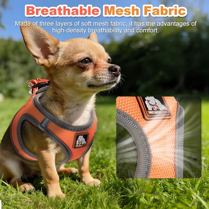 Dog Harness Medium Sized Dogs, Puppy Harness and Leash Set for Training, Running, Walking, Suitable for Small and Medium Dog Vest, Orange, XS