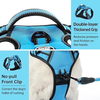 IVY&LANE No Pull Dog Harness for Medium Dogs, Dog Vest Harness with Leash, Safety Belt and Storage Strap, Fully Adjustable, 360° Reflective Strip, Soft Handle (Blue, M)