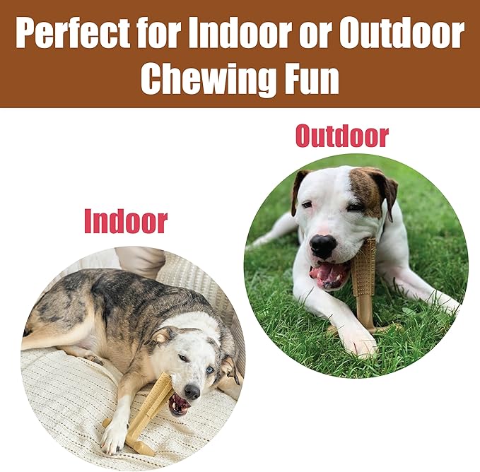 SPOT Bam-Bones Plus T-Bone, Bamboo Fiber & Nylon Dog Chew, Durable for Aggressive Chewers, Non-Splintering, for Adult Dogs & Teething Puppies Under 90lbs, 7in, Chicken Flavor