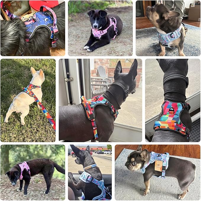BEAUTYZOO No Pull Dog Harness and Leash Set with 2 Metal Leash Clips - Overhead-Free 3 Snap Buckles Design, Adjustable No-Choke Soft Padded Reflective Oxford Pet Vest for Small Medium Large Dogs, L