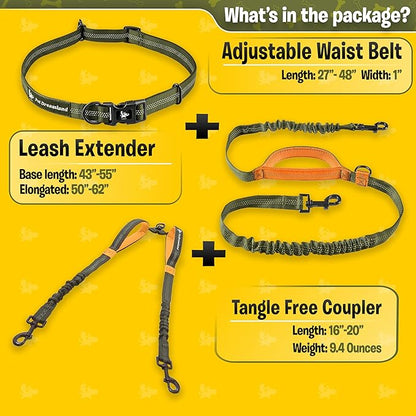 Pet Dreamland Exquisite Hands Free Double Dog Leash for Two Dogs with Tangle-Free Swivel. Premium Quality & Versatile for Running. You Will Absolutely Love This Amazing Waist Leash (Khaki & Orange)