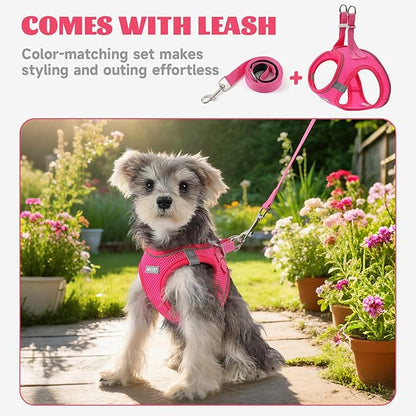 Bolux Dog Harness Small Sized and Leash Set, Step in Soft Light Puppy Vest, Breathable Mesh Pet Harness, Reflective for Safe Easy Walking.