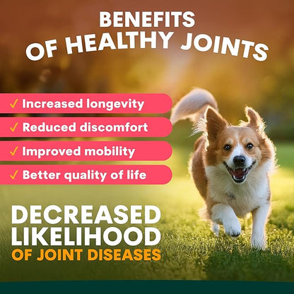 Petz Park Glucosamine for Dogs - Hip & Joint Support Powder with Chondroitin & MSM - Arthritis Pain Relief, Hip Dysplasia Treatment - 800mg Glucosamine - 45 Scoops