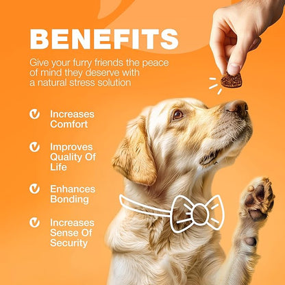 Dog Allergy Relief Chews - Itch Relief for Dogs - Allergy Chews for Itching Skin with Hemp Seed Oil, Turmeric, Quercetin - Immune Health Support Treats - Hot Spots - Skin and Coat Health