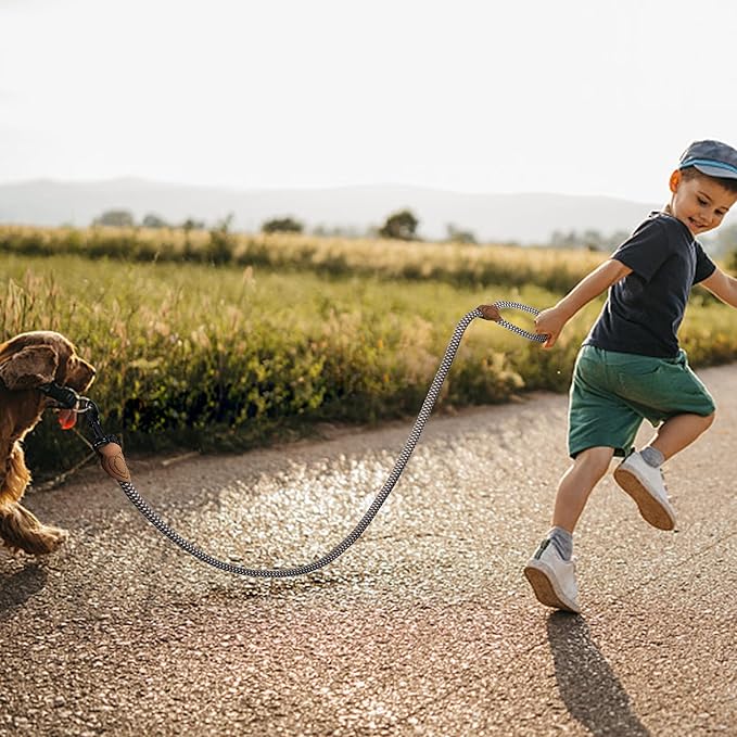 Mile High Life Rope Leash with Genuine Leather Connection, 6 FT/5 FT/4 FT, Heavy Duty Leash for Medium & Large Dogs (Brown, 48 Inch)