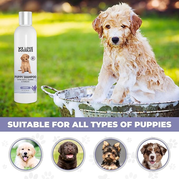 Puppy Shampoo & Conditioner | Made in USA | Tear Free | Best Shampoo for Puppies | Sensitive & Itchy Skin Wash | Oatmeal Bathing | Tearless, Lavender, 8oz [We Love Doodles]