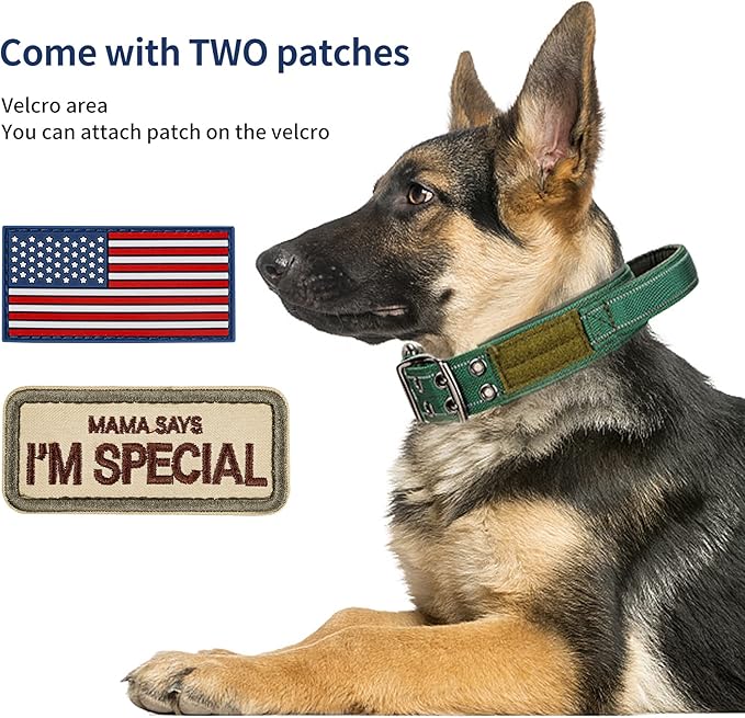 Annchwool Tactical Dog Collar for Medium and Large Dog,Adjustable Military Dog Collar with Soft Padded Handle,Heavy Duty Double Buckle Design(Green,XL)