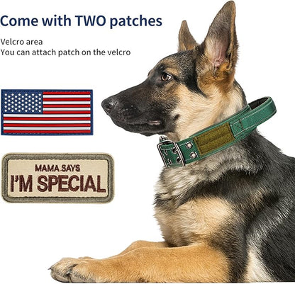Annchwool Tactical Dog Collar for Medium and Large Dog,Adjustable Military Dog Collar with Soft Padded Handle,Heavy Duty Double Buckle Design(Green,M)