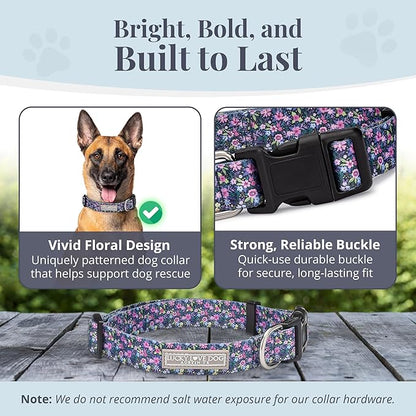 Lucky Love Dog - Adjustable Dog Collar with Easy Click Buckle for Small to Large Ones, Durable, & Comfortable for Male & Female Dogs, Pet Collar for Puppies & Adult Dogs - Primrose, Large