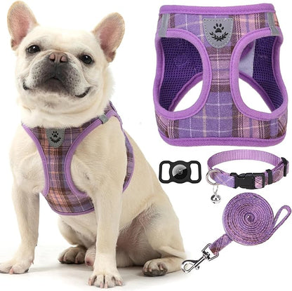 EXPAWLORER Classic Plaid Puppy Harness - Small Dog Harness and Leash Set - Dog Collar and Leash Set with AirTag Holder, Soft Padded Step in Dog Vest Harness No Pull Reflective for Outdoor, Purple XXS