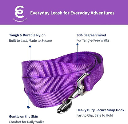 Blueberry Pet Essentials Dark Orchid Dog Leash for X-Small -5' * 3/8" Dogs | Heavy Duty Nylon Lead | Lightweight Puppy & Cat Leash for Walking & Training
