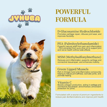 JYHUBA Hip & Joint Support for Dogs & Cats – Natural Joint Supplement with PEA, Glucosamine, MSM, Green Lipped Mussels – Promotes Mobility, Reduces Inflammation & Pain – Made in USA 2.5oz (72g)