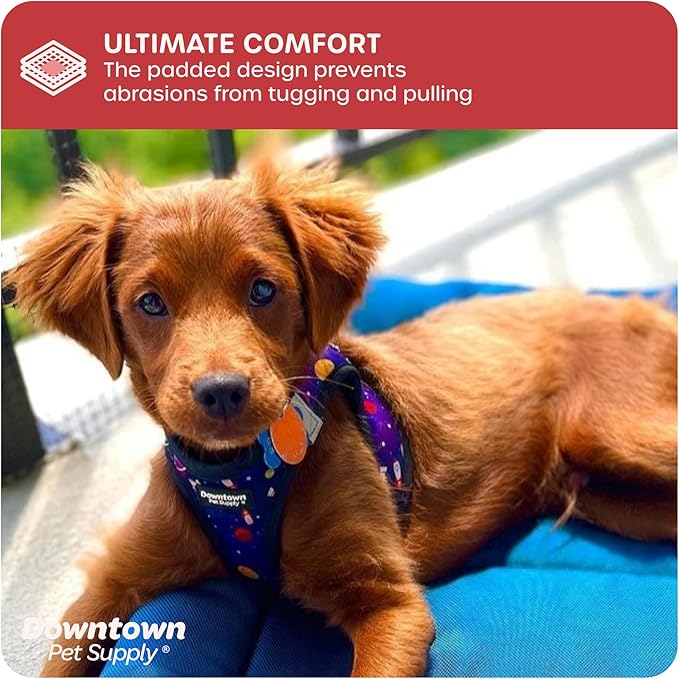 Downtown Pet Supply Step-in Dog Harness – No Pull, Adjustable Padded Mesh with Reflective Trim, Secure Buckle Strap – Comfortable & Breathable Small Dog Harness, XX-Small, Space
