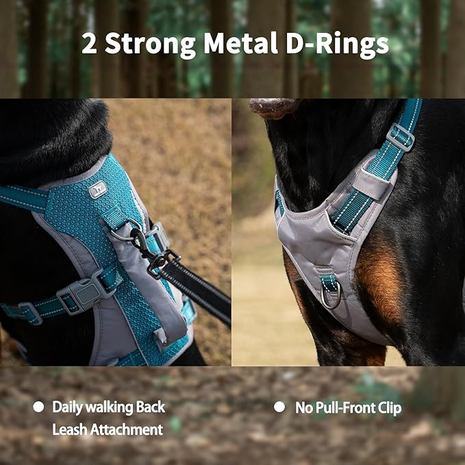 Huntboo Reflective Dog Harness with Handle, Escape Proof, No Slip, Breathable, Lightweight, Adjustable Lift Harness for Small, Medium, and Large Dogs Walking, Training, and Running Gear(Teal Blue,L)