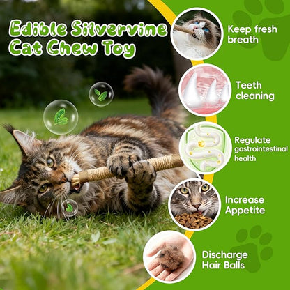 GBSYU Silvervine Sticks for Cats & Cat Chew Rope Toy with Refillable Natural Catnip Bag for Teeth Cleaning, Interactive Cat Catnip Toys for Indoor Cats, Kitten Teething Toys for All Breeds (8Pcs)
